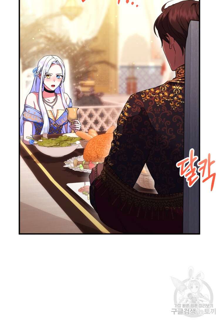 술탄의 귀한 고양이가 되었습니다 28화 21