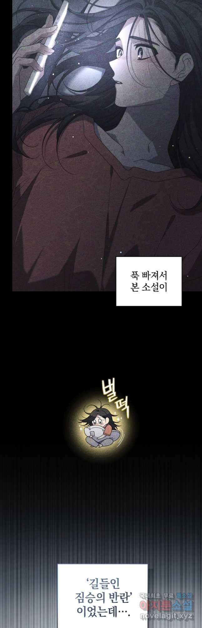 악녀가 길들인 짐승 47화 11