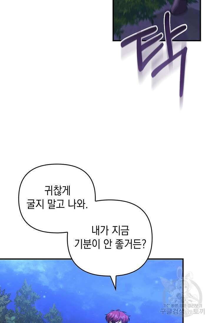 폐후의 스캔들 11화 33