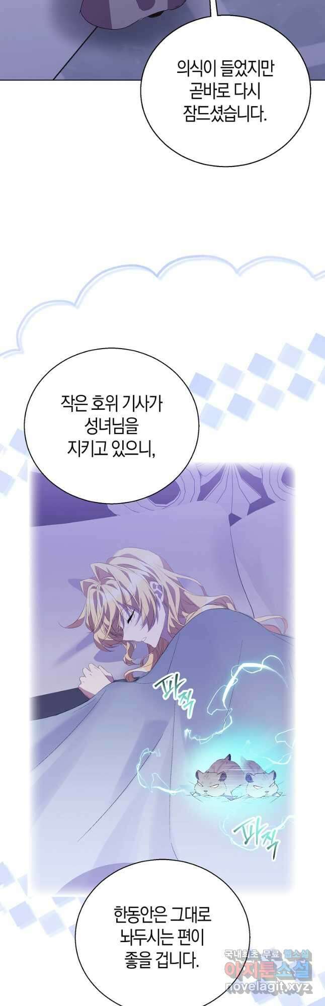 가짜 성녀인데 신들이 집착한다 59화 12