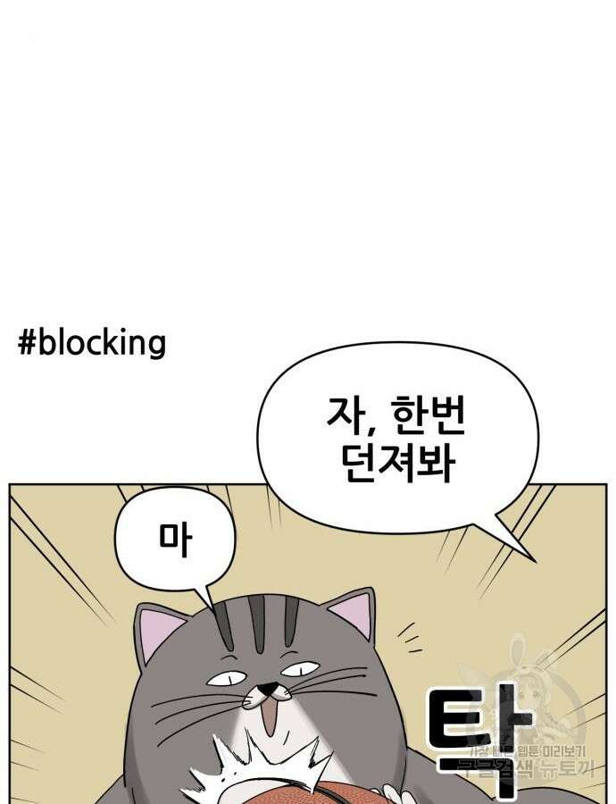 괴양이 23화 22