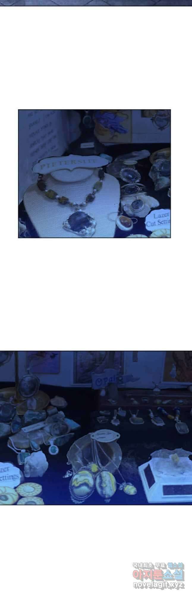 다른 세계에서 주워왔습니다 213화 46
