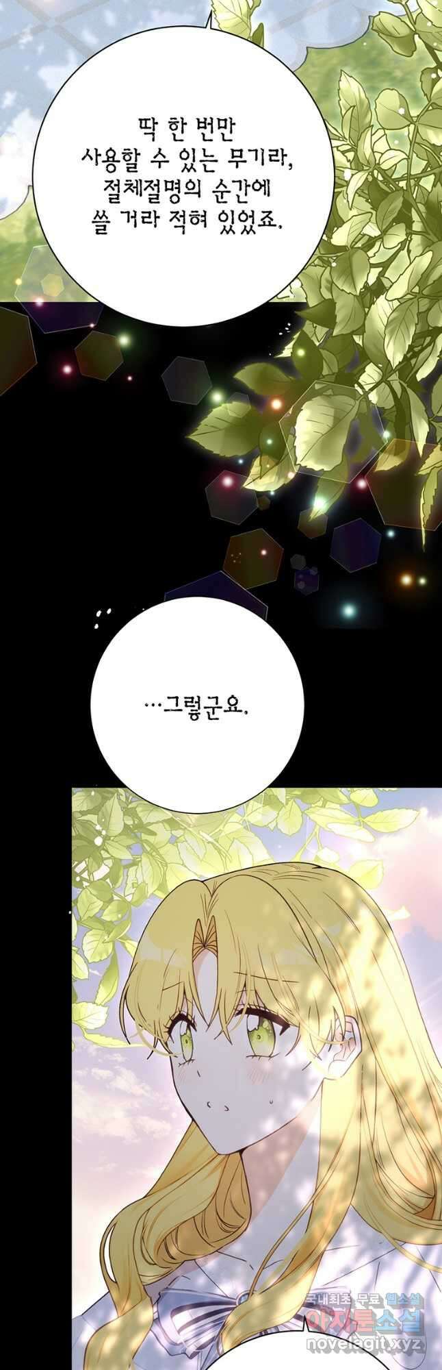 그 남자는 제 친오빠인데요, 공작님 69화 12
