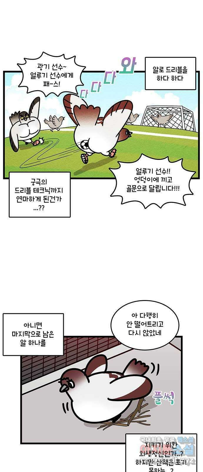 윌유메리미 시즌2 733화 비둘기는 미친새다 3
