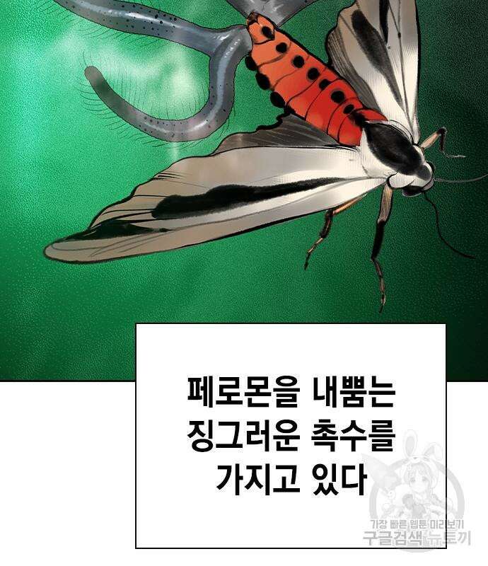 정글쥬스 시즌2 25화 4