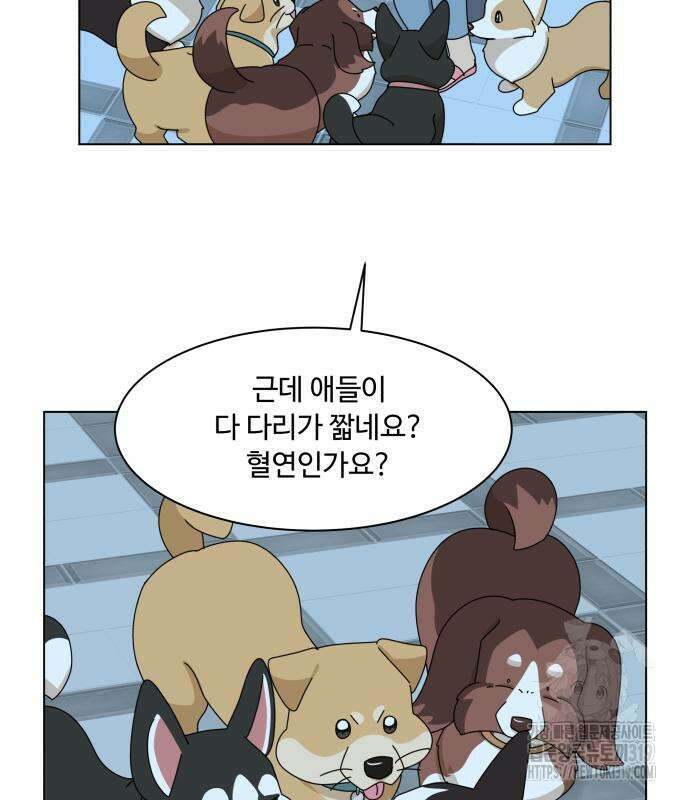 개를 낳았다 외전 8화 13