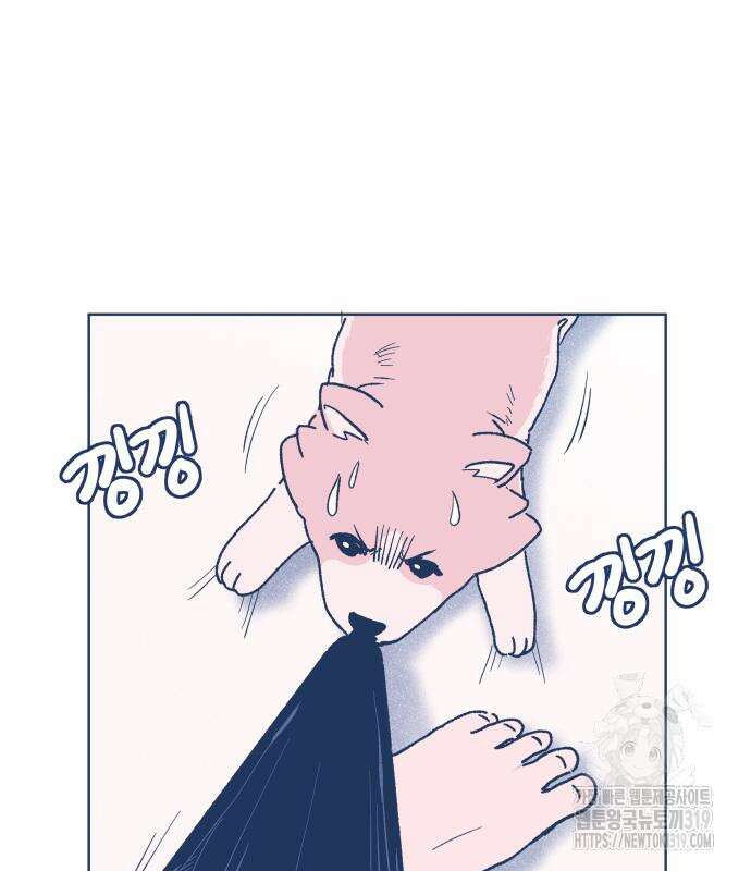 반려짐승 7화 5