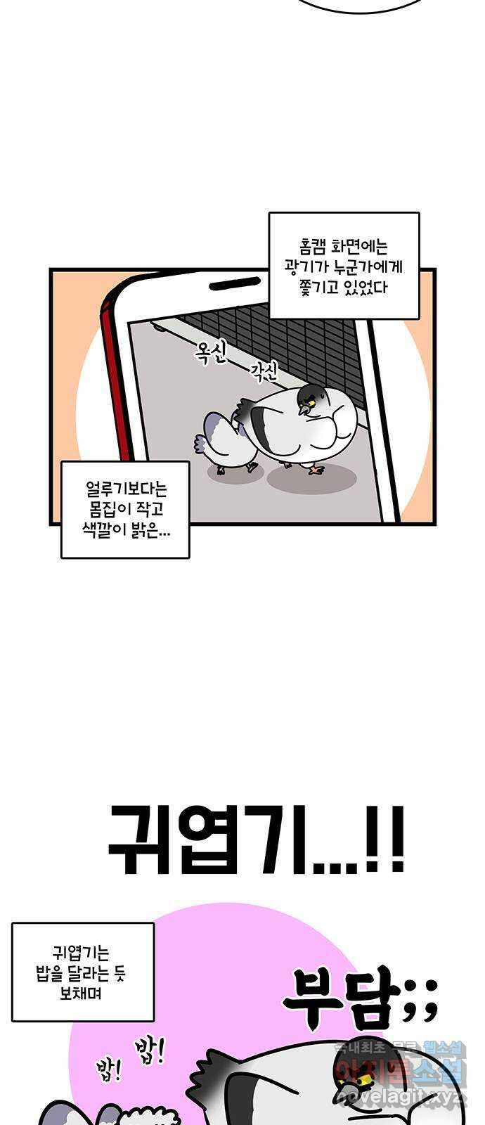 윌유메리미 시즌2 738화 귀엽기가 위험해 5