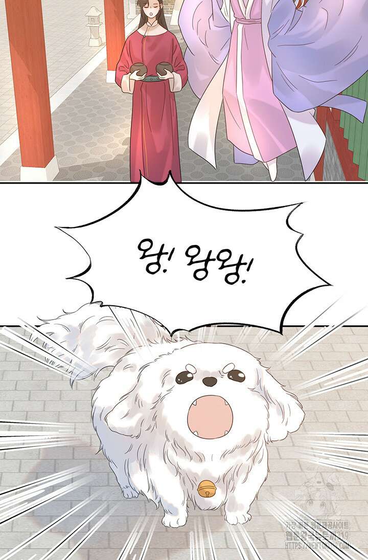 여주인공의 대본을 잘못 가져간 것 같아요 10화 5