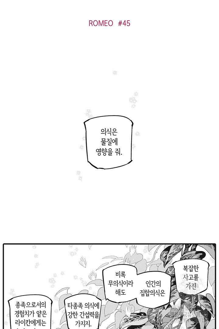ROMEO (로메오) 50화 2