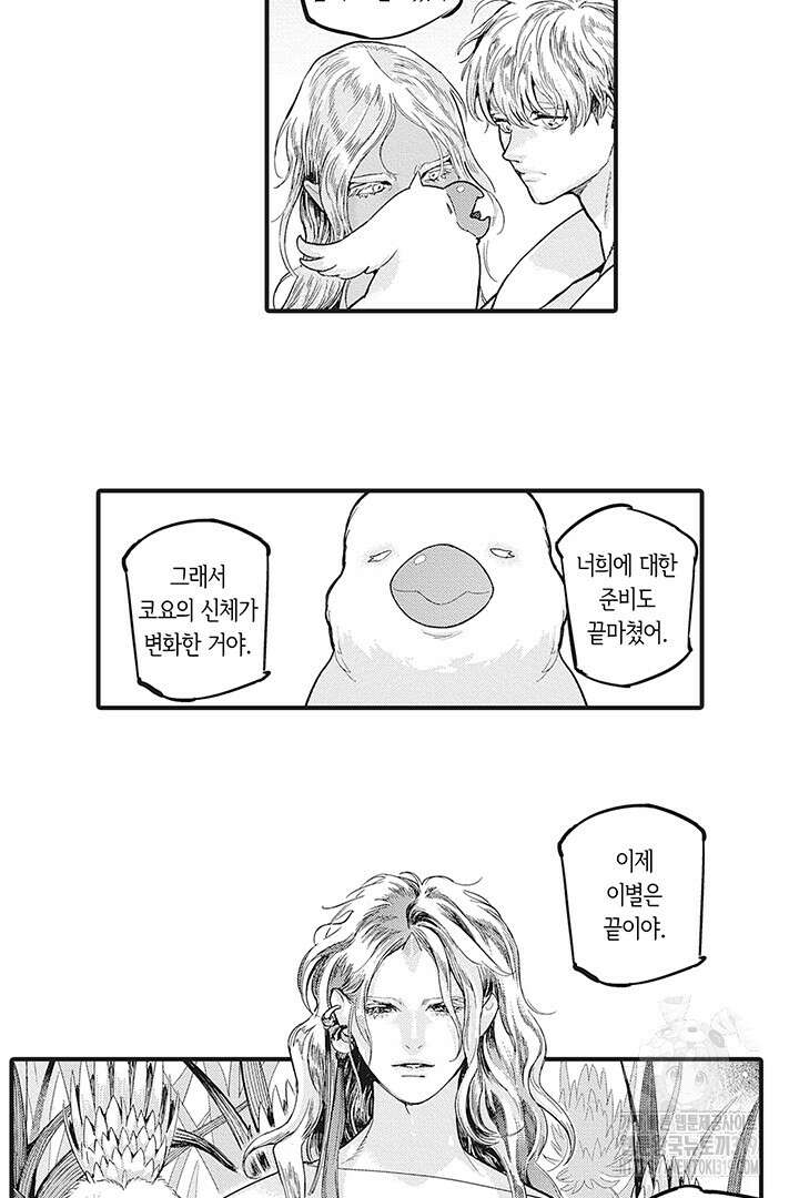ROMEO (로메오) 50화 4