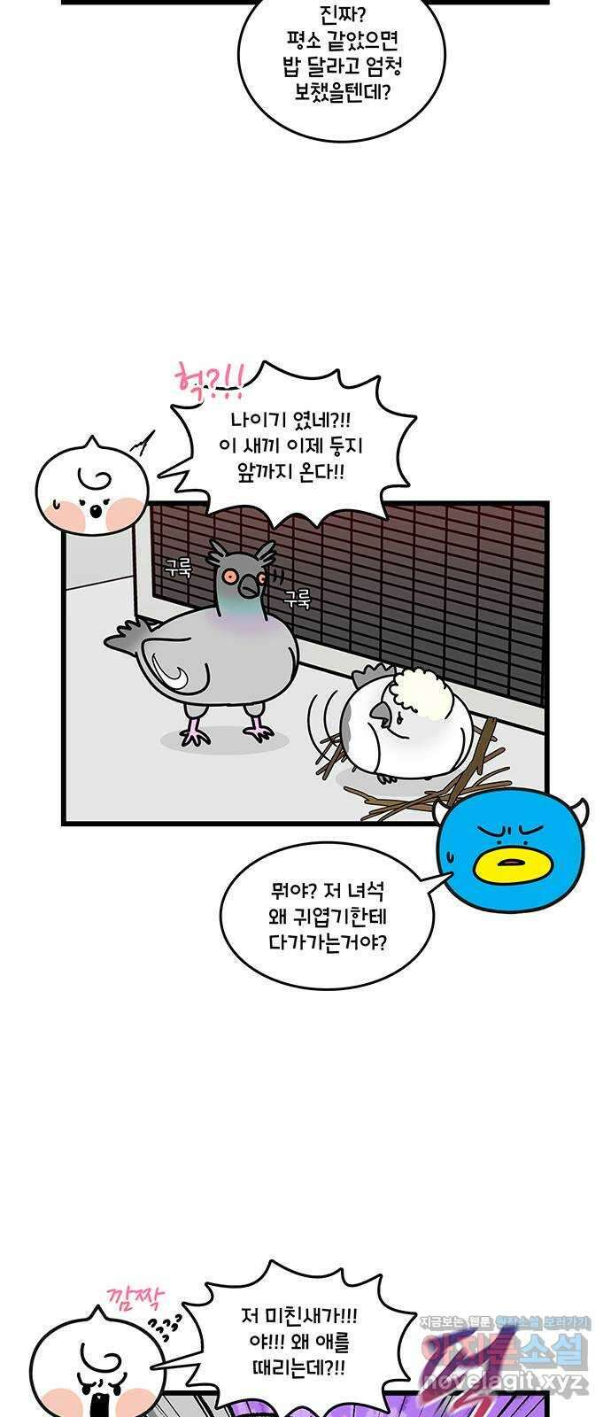 윌유메리미 시즌2 739화 날아라 귀엽기 2