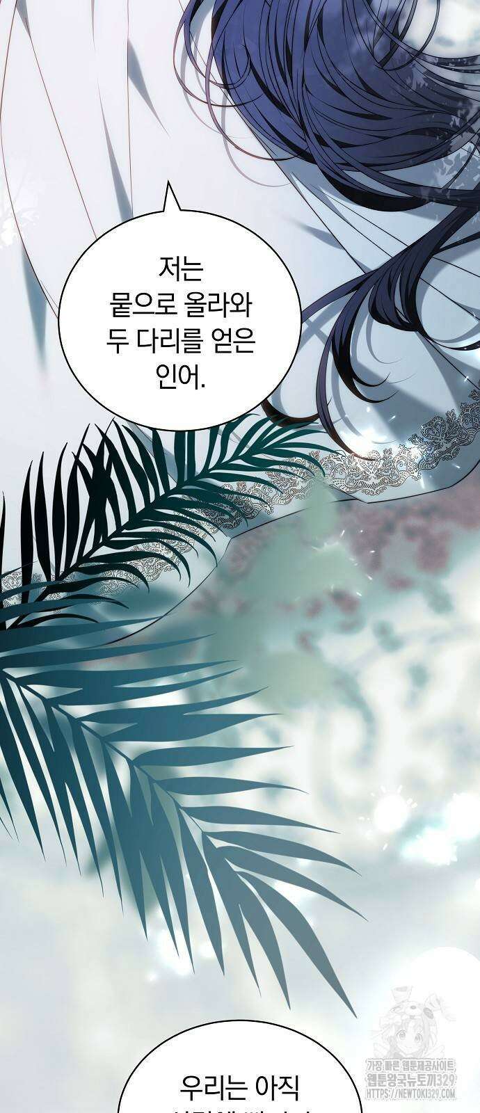 흑요석의 신부 37화 3