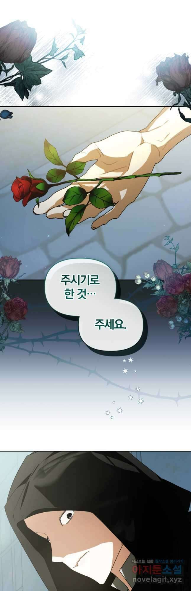 미친 악당의 품으로 떨어졌다 47화 24