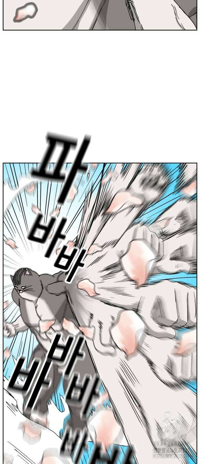 괴양이 40화 10