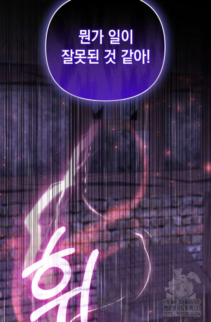 폐후의 스캔들 39화 22