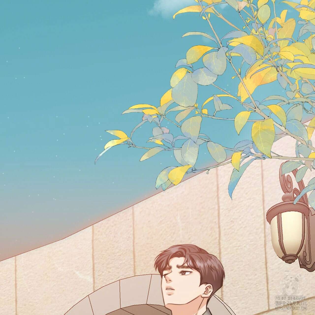임신 계약 19화 19