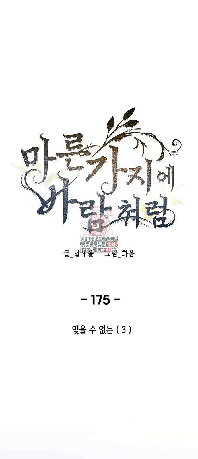 마른 가지에 바람처럼 175화 1