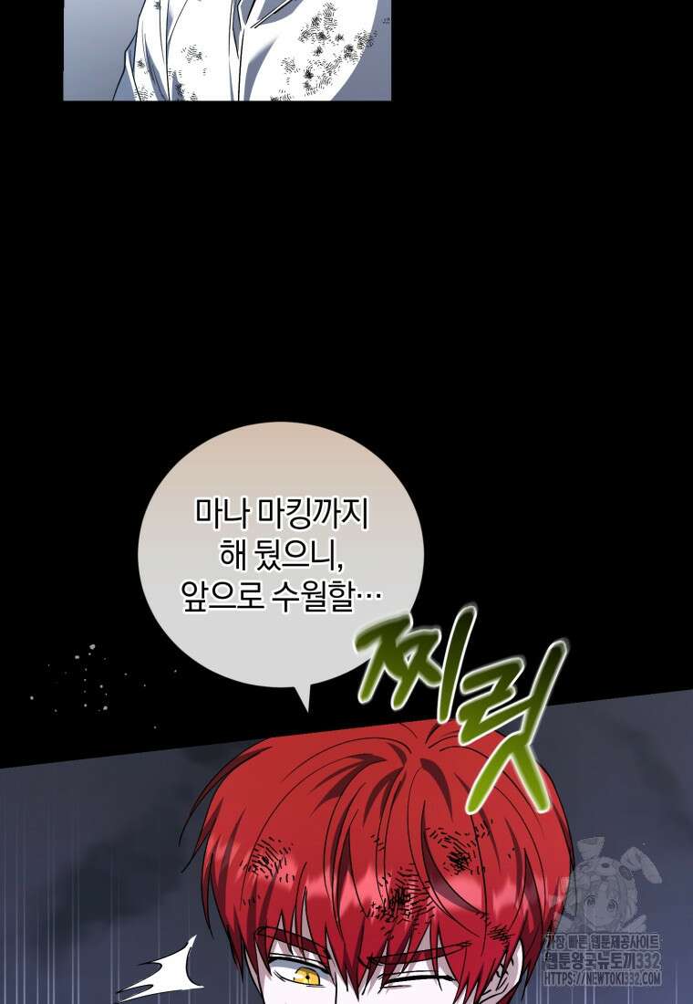 빼앗긴 가문의 주인이 되려 합니다 66화 41