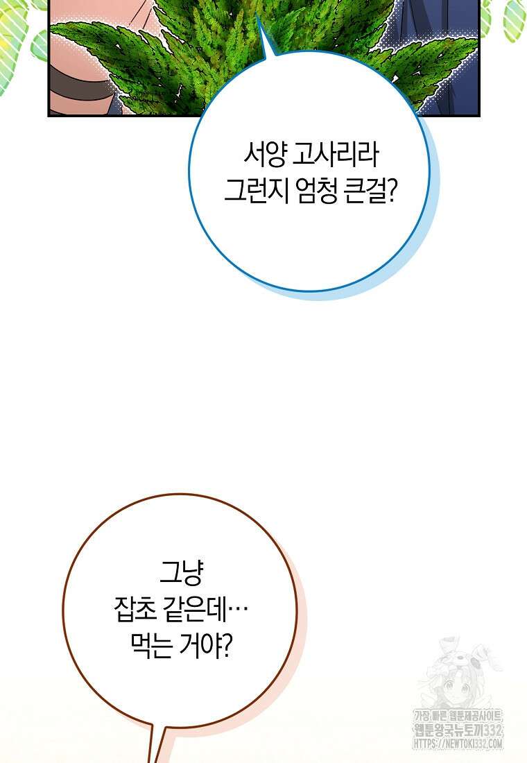 상태창에서 시한부가 빗발친다 17화 45