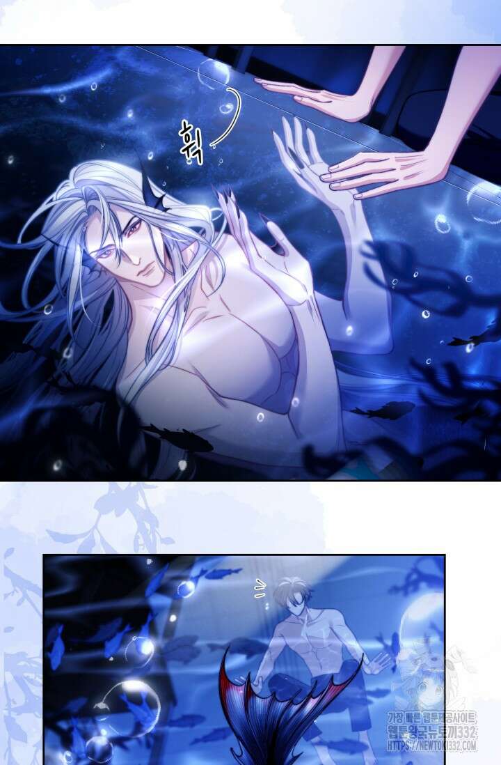 다니엘의 인어 14화 10