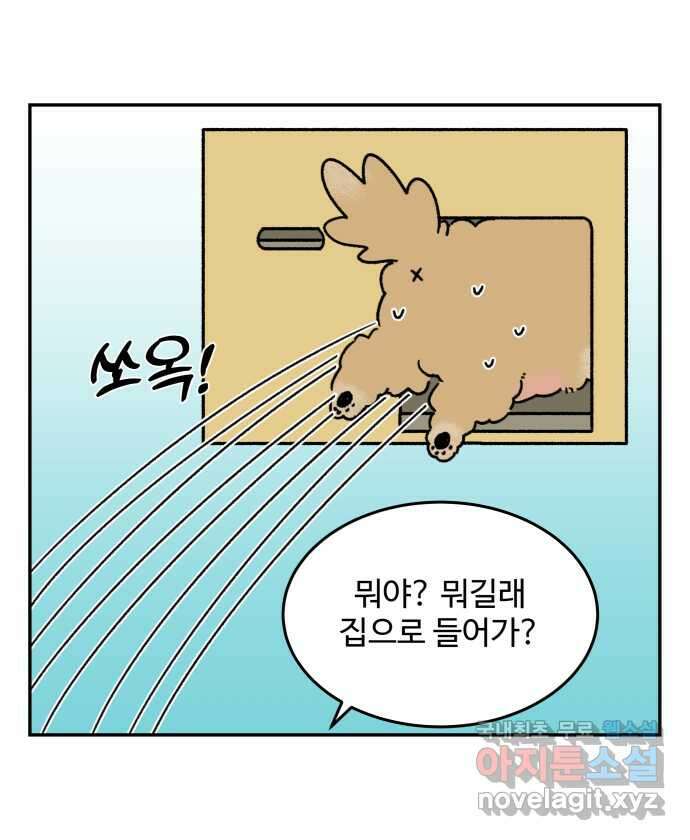 강아지는 멍멍하고 짖지 않아! 82화 - 가성비 강아지 3