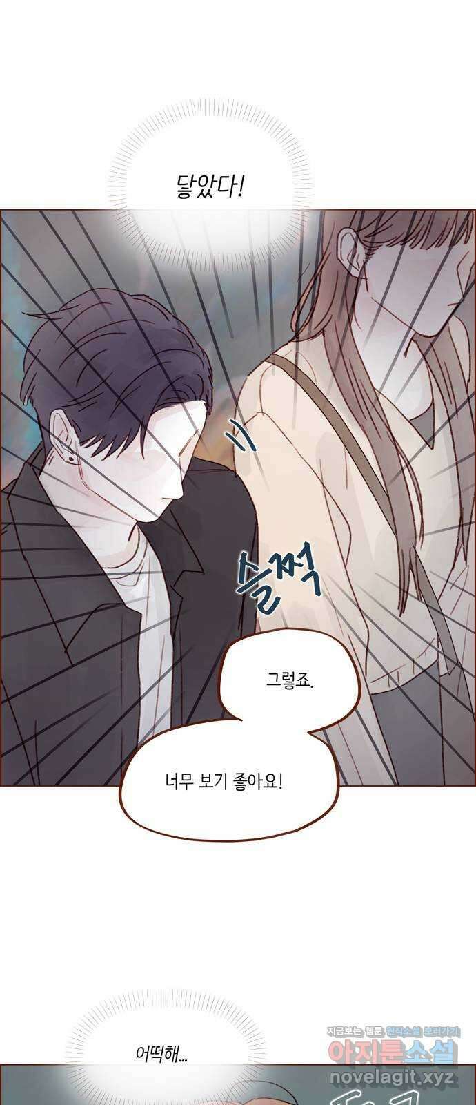홍시는 날 좋아해! 263화 : 나랑 갈래 일본 24