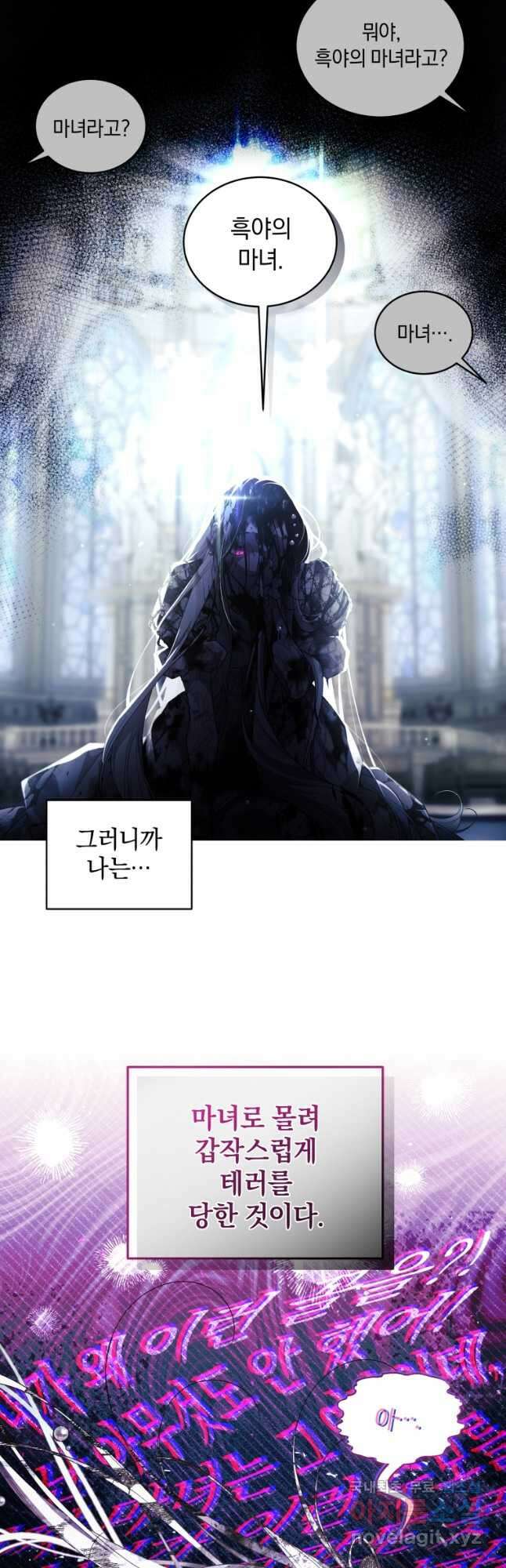 악녀가 길들인 짐승 65화 47