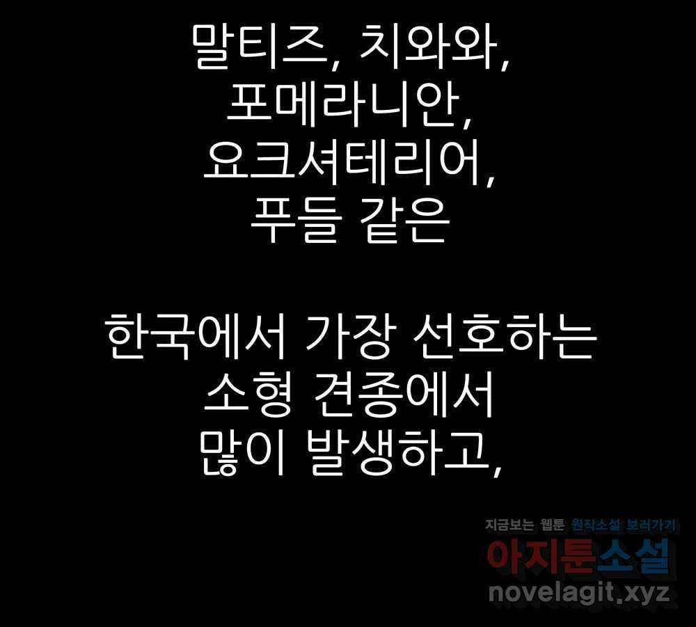 무지개다리 파수꾼 127화 11
