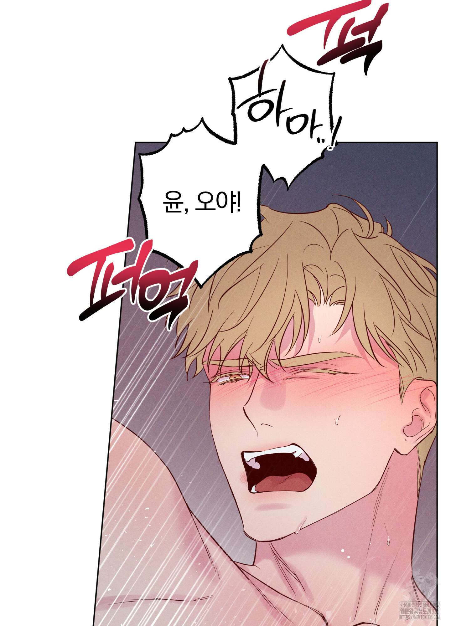 파도의 해안 22화 11