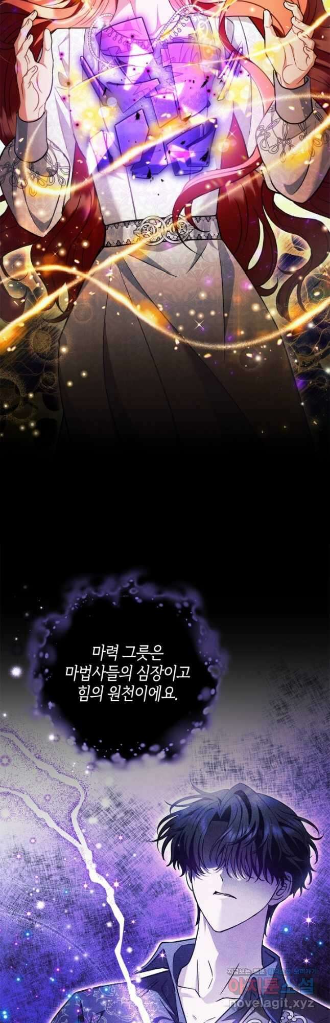 흑막의 독 감별사가 되겠습니다 47화 14