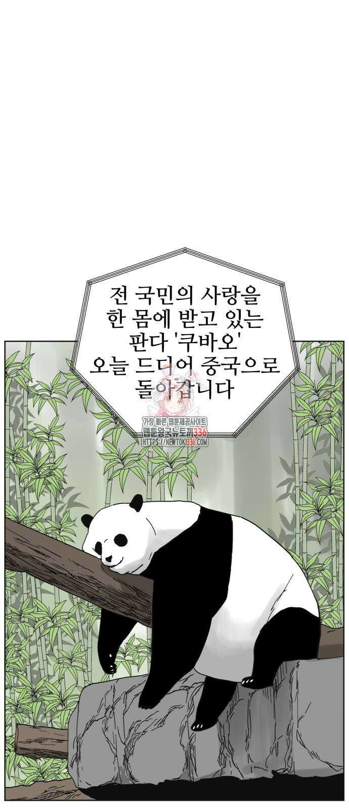 괴양이 45화 1