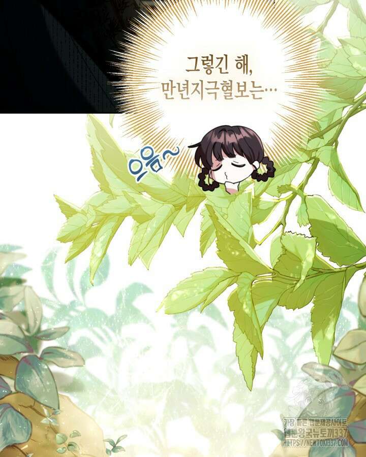 몰락 세가의 시한부 영약 3화 20