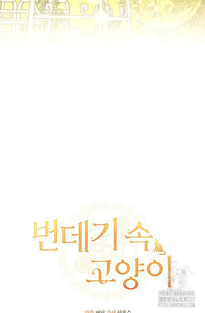 번데기 속 고양이 69화 31