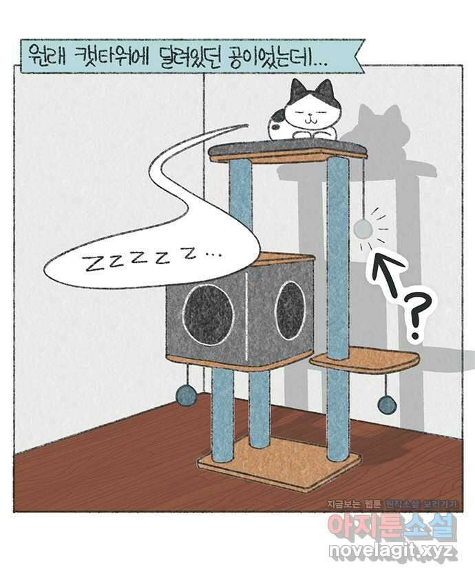 마님이네 미국 시골집 이야기 59화 미스테리 공 2