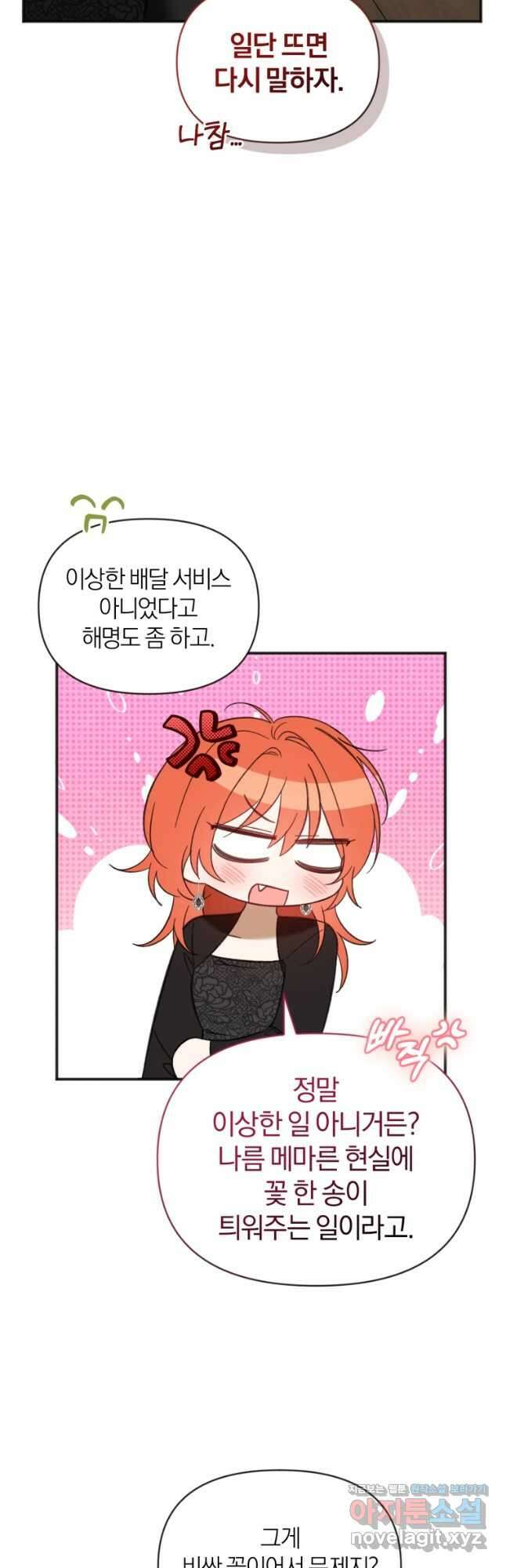 이상형 배달 서비스 63화 33