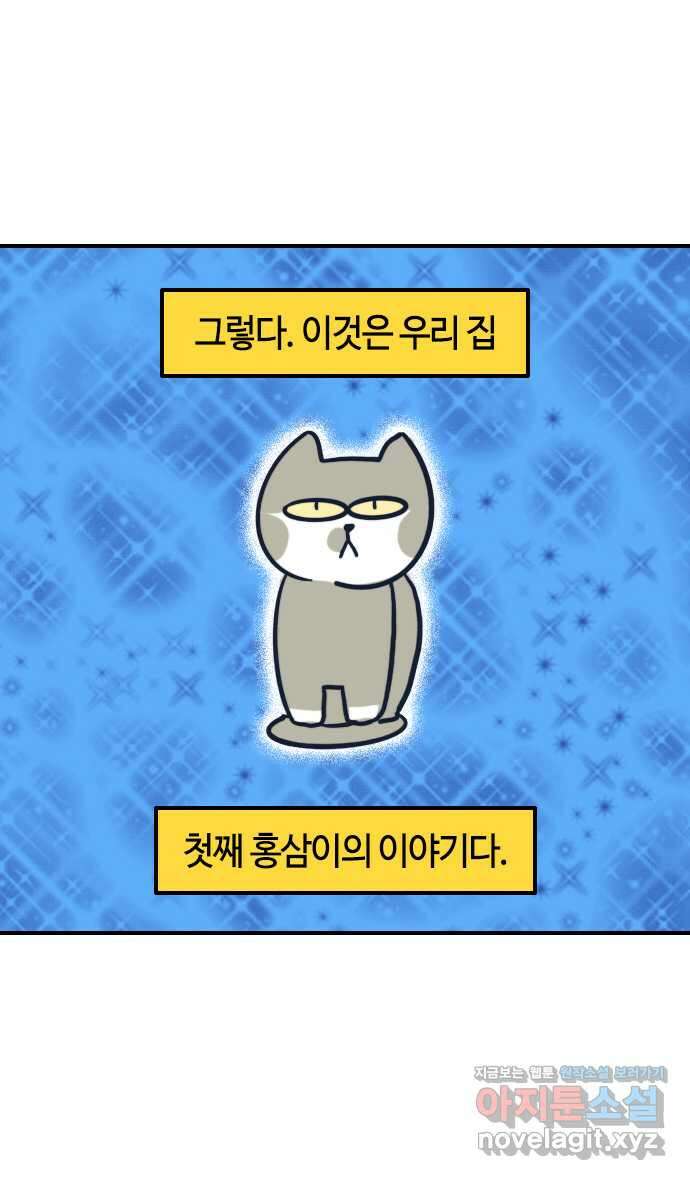 유부 감자 23화 반려묘 홍삼이 (1) 5