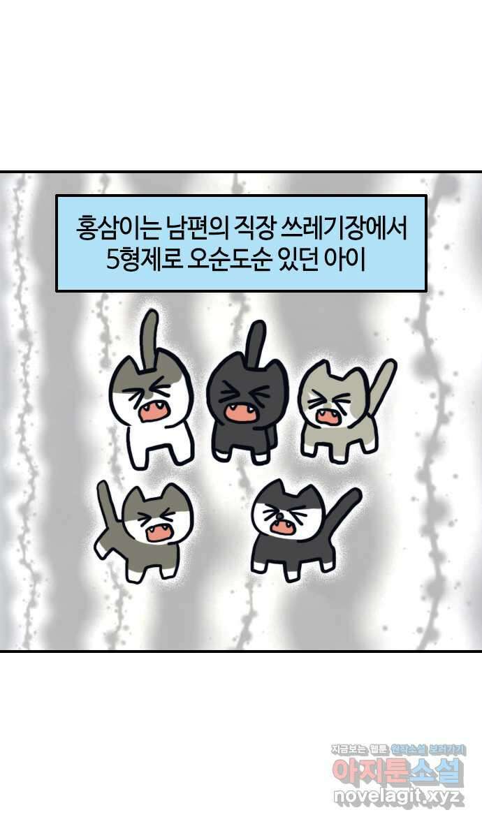유부 감자 23화 반려묘 홍삼이 (1) 6