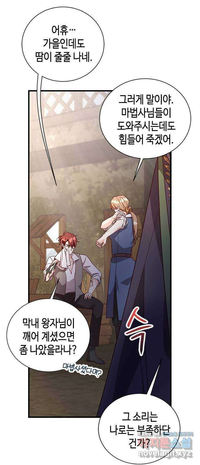 어느 백작 영애의 이중생활 마지막화 5