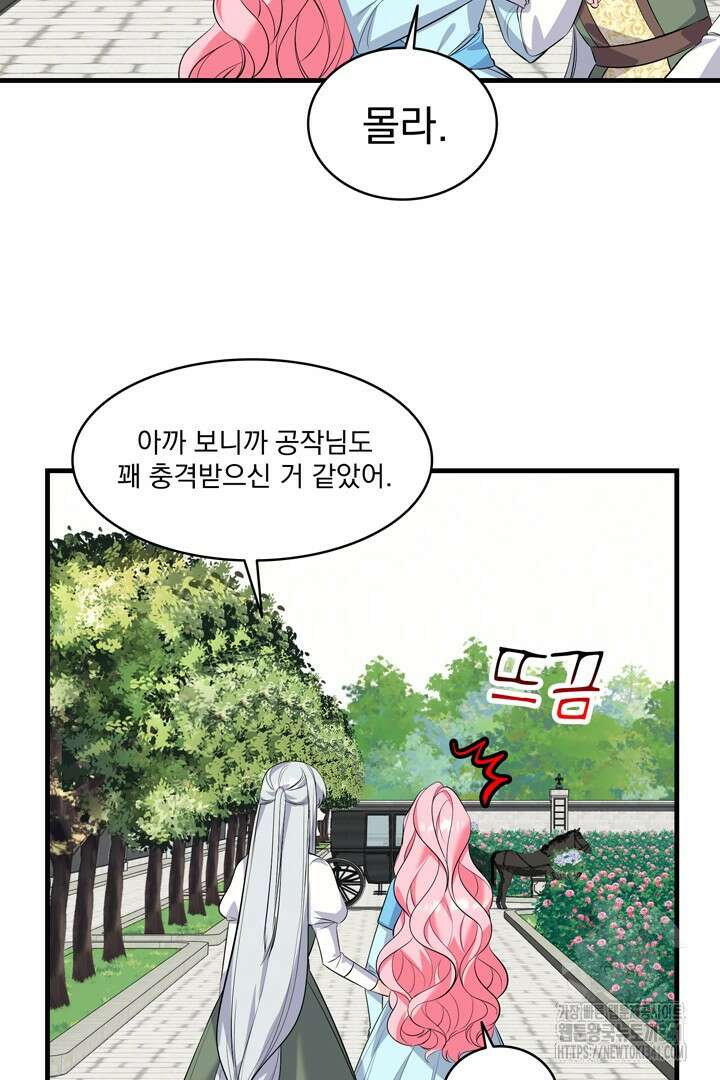 쫓아오지 마세요, 남주님! 43화 17