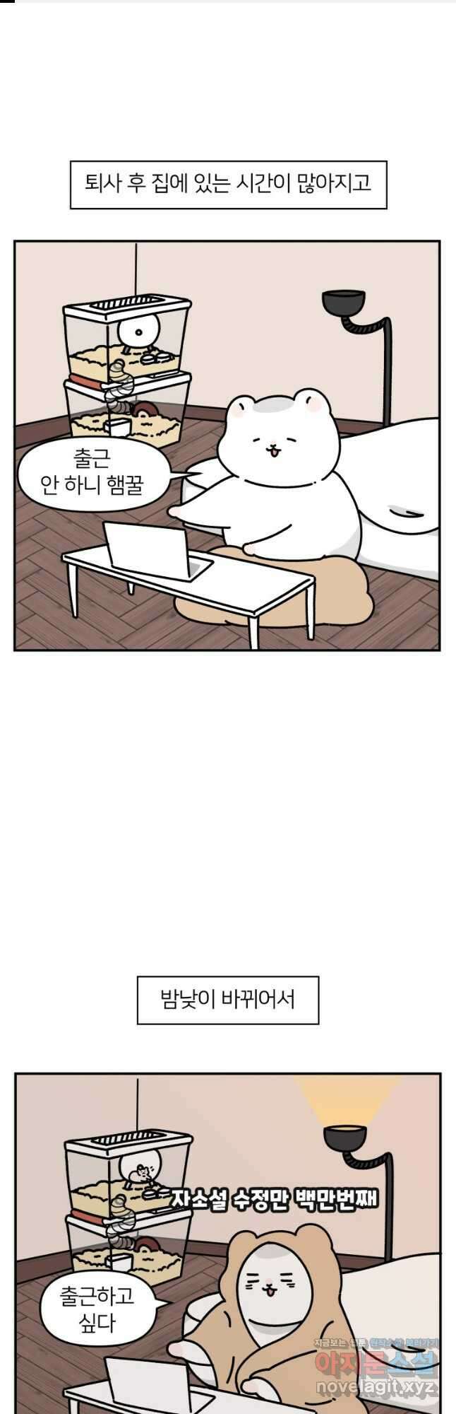 어쩌다 햄스터 15. 햄스터와 친해지자 1