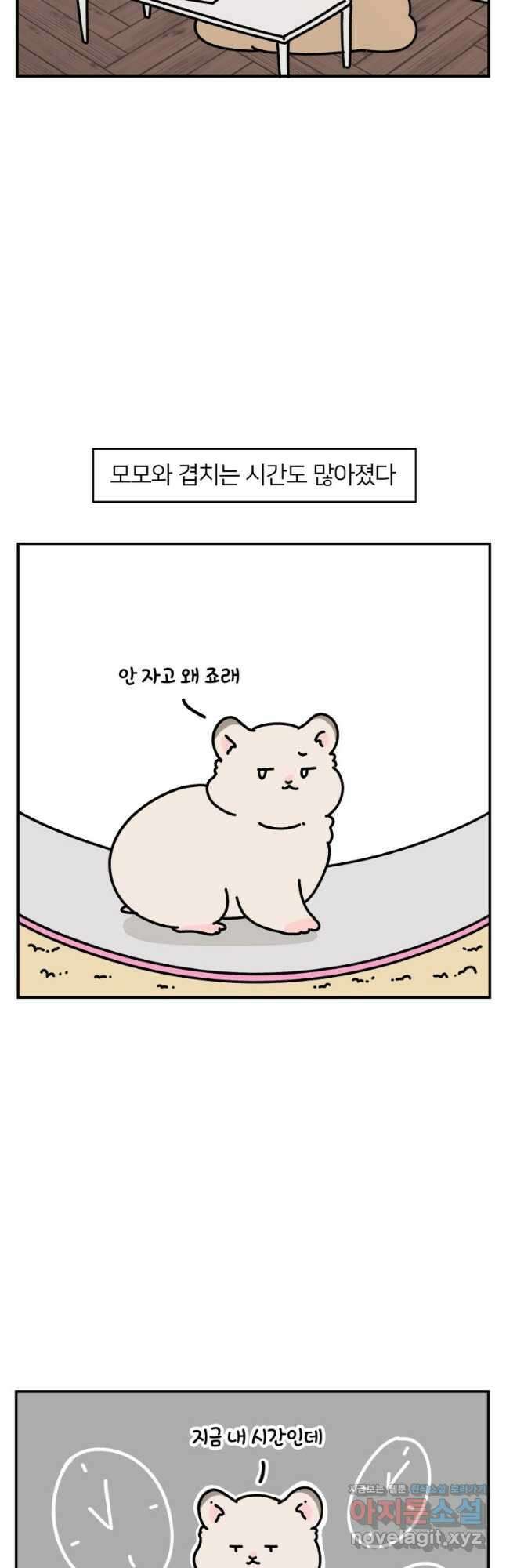 어쩌다 햄스터 15. 햄스터와 친해지자 2