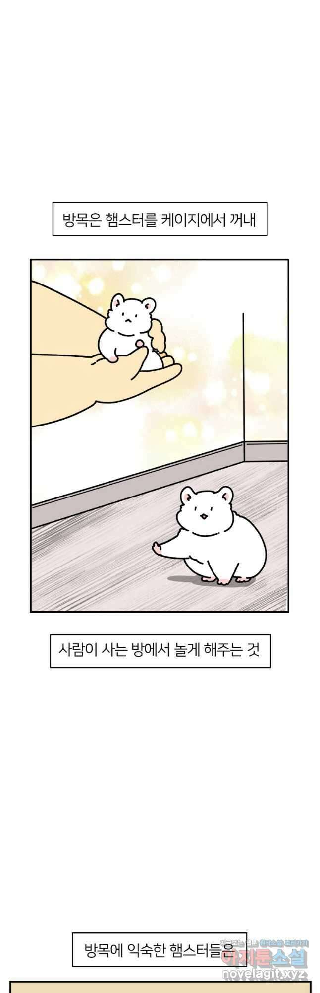 어쩌다 햄스터 15. 햄스터와 친해지자 5