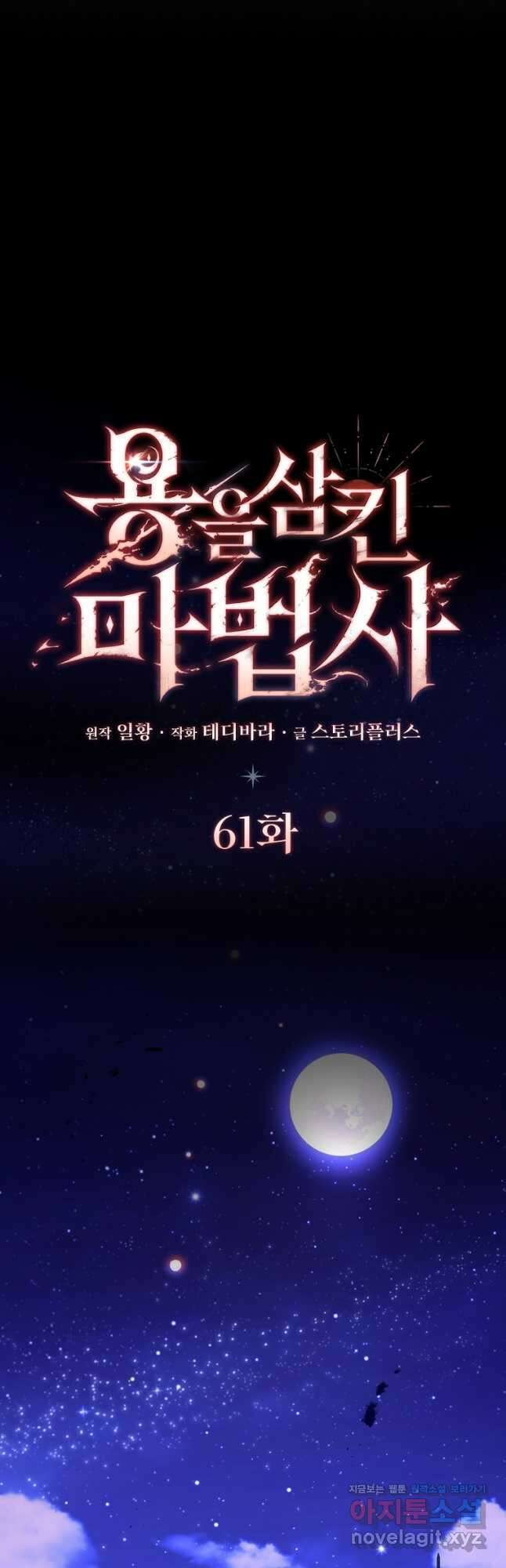 용을 삼킨 마법사 61화 14