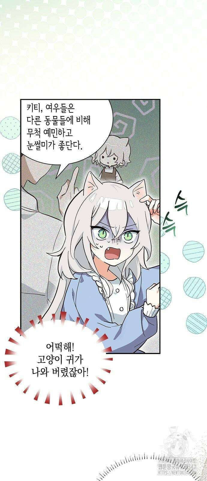 고양이인데, 늑대 가문에 입양당했다? 9화 2