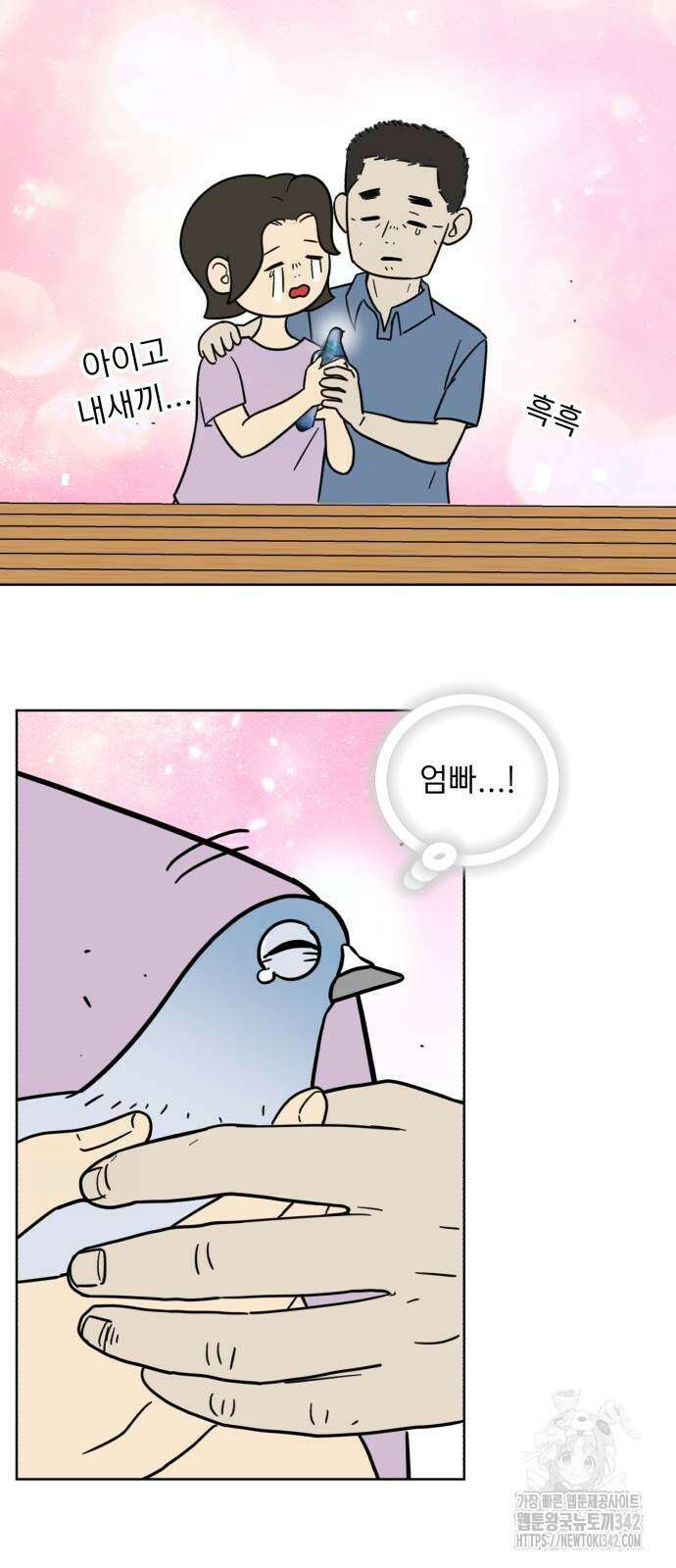 성북구 비둘기 이헌서 8화 6