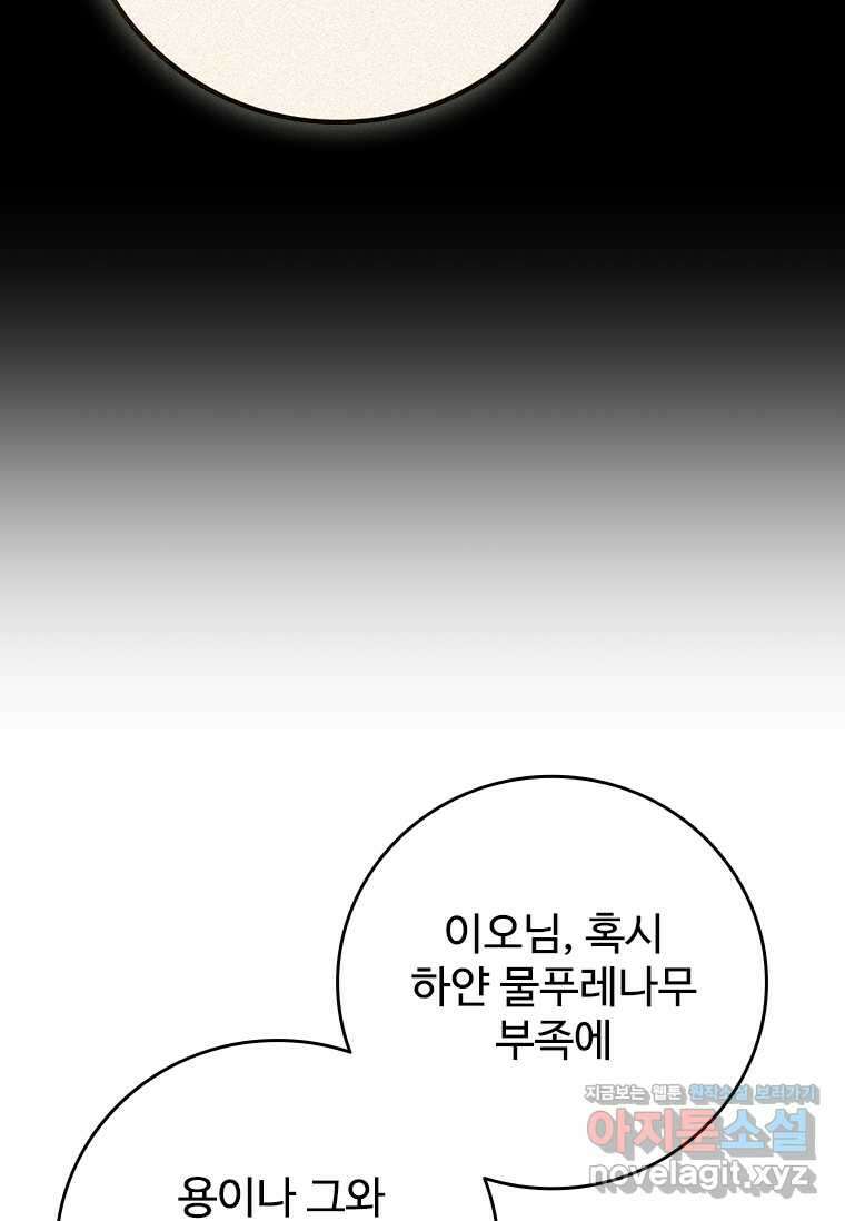 용을 삼킨 마법사 62화 111