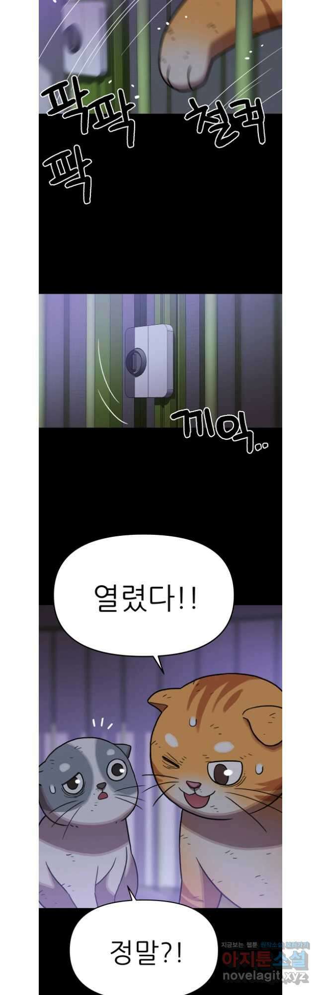 무지개다리 파수꾼 137화 18