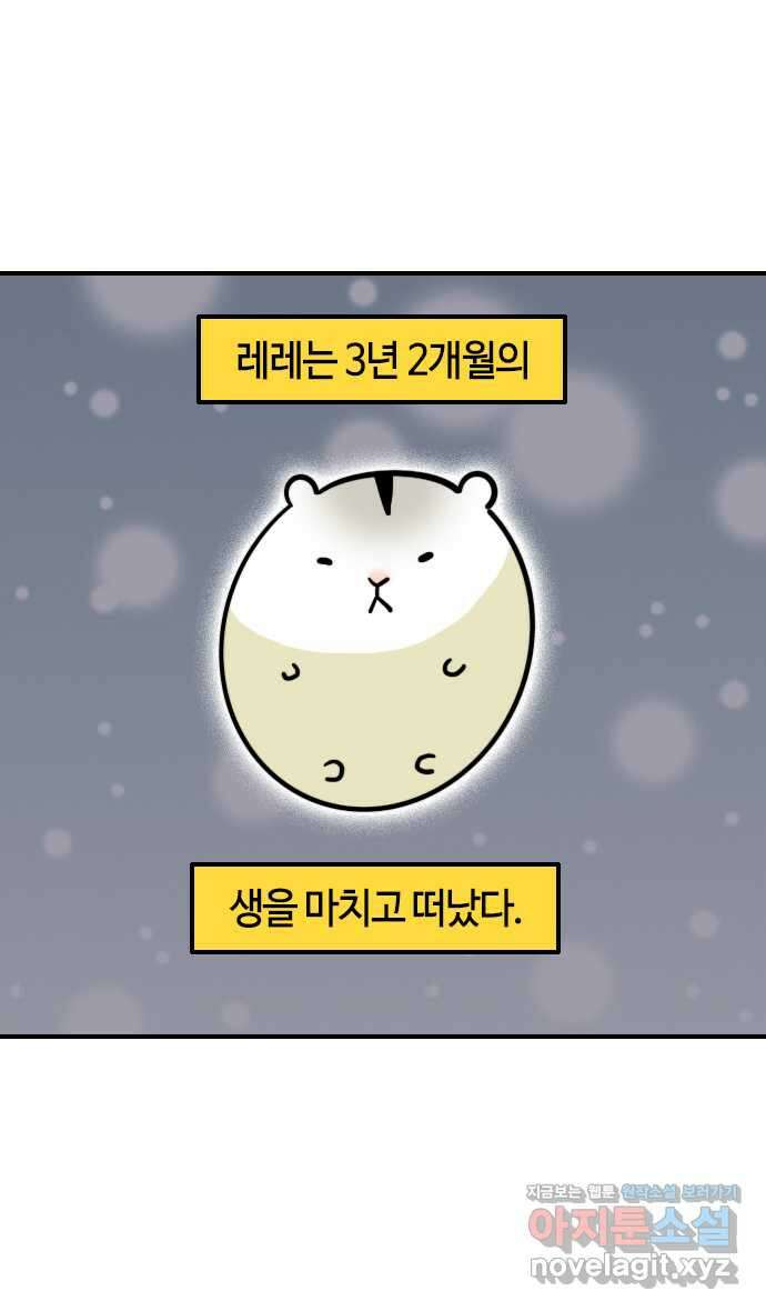 유부 감자 35화 햄스터 레레 (2) 2