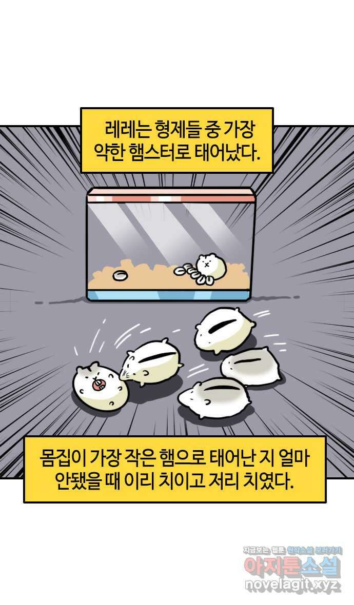 유부 감자 35화 햄스터 레레 (2) 4
